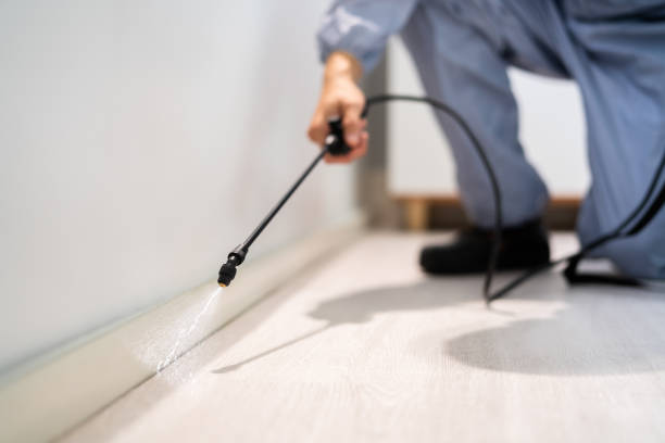 Bed Bug Pre-Treatment Preparation Assessment in Benton