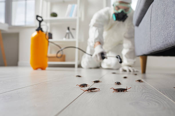 Post-Treatment Bed Bug Interceptor Monitoring in Benton