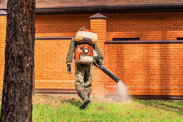 Bed Bug Clearance Verification and Documentation in Benton
